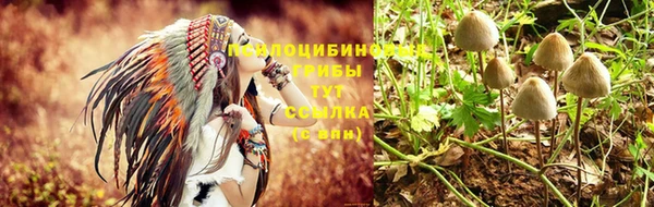 альфа пвп Переславль-Залесский
