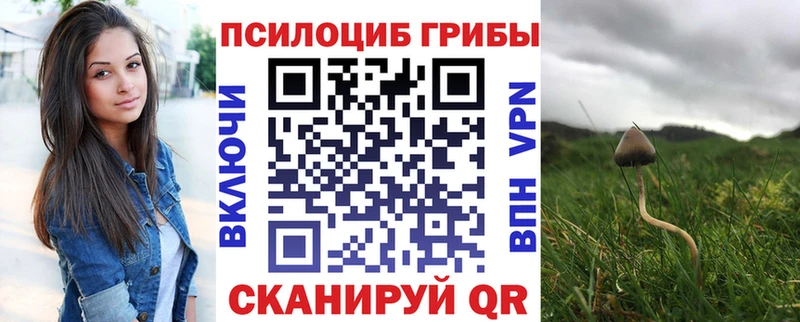 Псилоцибиновые грибы Cubensis Пролетарск