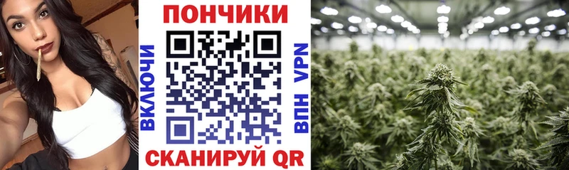 как найти закладки  Пролетарск  Бошки марихуана тримм 